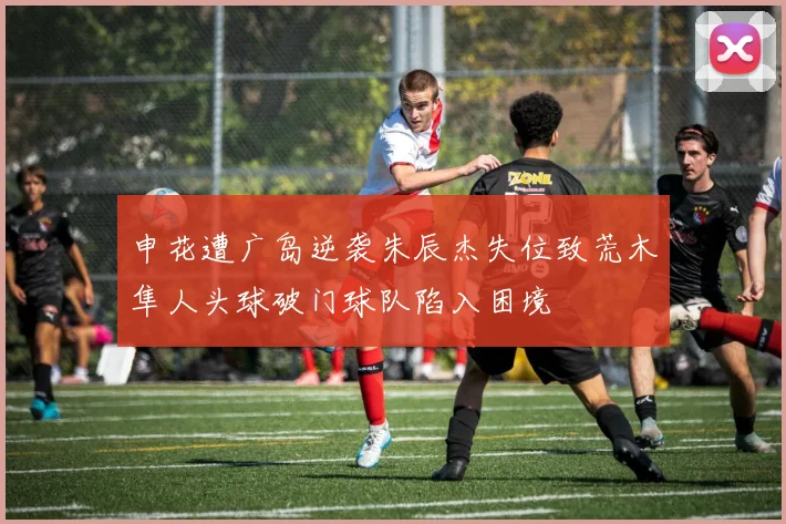 申花遭广岛逆袭朱辰杰失位致荒木隼人头球破门球队陷入困境