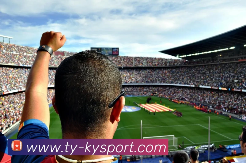 开云足球平台生态图